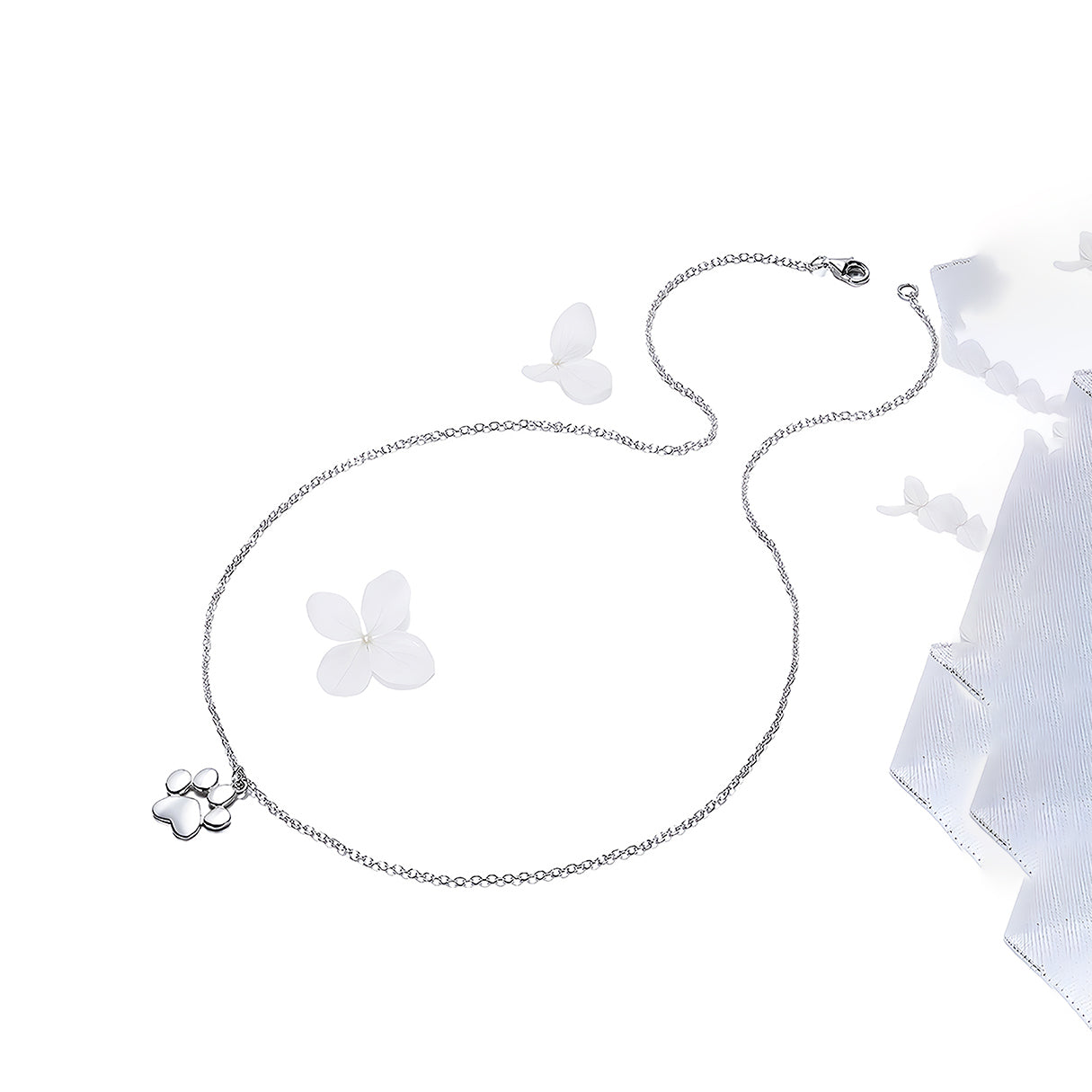 Collar de Plata .925, Cat'S Footprint, Miow