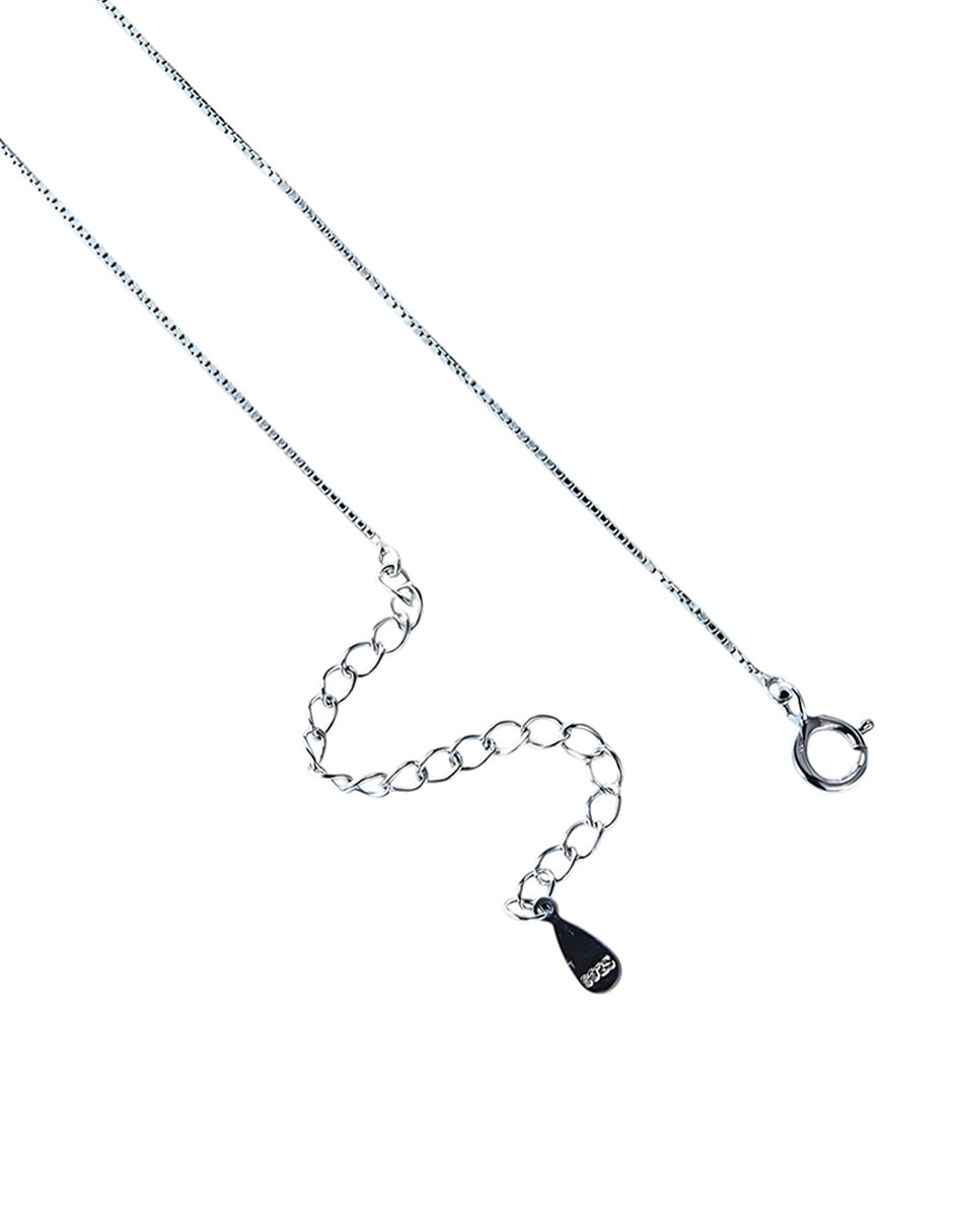 Collar de Tortuga, Plata .925, Ame Glam Pop