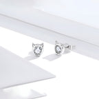Aretes de Plata .925, Diamond Cat, Miow