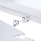Aretes de Plata .925, Diamond Cat, Miow