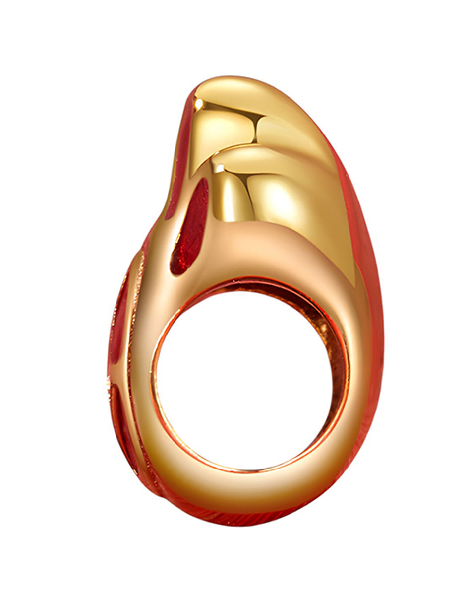 Charm de Plata .925, Chinese Cat'S Paw, Miow